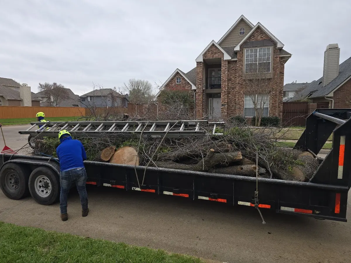 Expert Crown Reduction with proper safety equipment in Flinthill